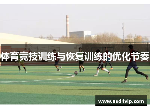 体育竞技训练与恢复训练的优化节奏
