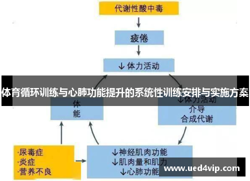 体育循环训练与心肺功能提升的系统性训练安排与实施方案